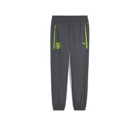 PUMA Manchester City FC Pantaloni Allenamento Pumatech Uomo 25/26, Grigio (Galactic Gray x PRO Green), M