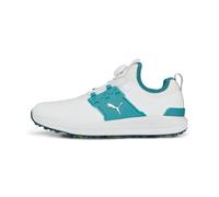 Puma Men's Ignite Articulate Disc Golf Shoe, White Silver-Green Lagoon, 8.5