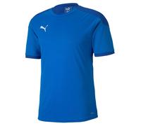 PUMA Men's Teamfinal 21 Training Jersey T-shirt S Electric Blue Lemonade-team Po