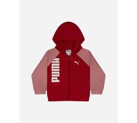 Puma Minicats - Completo