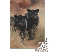 Puma neri,Puzzle Per Adulti 38x26cm/1000pcs,Giochi Di Sfida Un'oasi nel deserto del Sahara