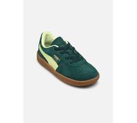 Puma - Palermo Ac Inf Verde - Sneakers 24 Verde