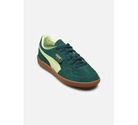 Puma - Palermo Jr Verde - Sneakers 36 Verde