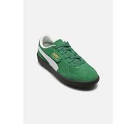 Puma - Palermo Jr Verde - Sneakers 37 Verde