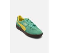 Puma - Palermo M Verde - Sneakers 46 Verde