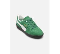 Puma - Palermo Ps Verde - Sneakers 32 Verde