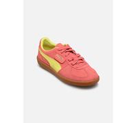 Puma - Palermo Rosa - Sneakers 41 Rosa