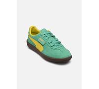 Puma - Palermo Verde - Sneakers 41 Verde