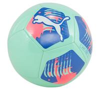 PUMA Palla Big Cat