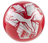 PUMA Palla BIG CAT