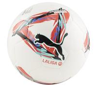 Puma Laliga 25 Bl bianco T5