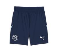 PUMA Pantaloncini da calcio del Paraguay da uomo, Sport, Persian Blu/Dusty Aqua, L L