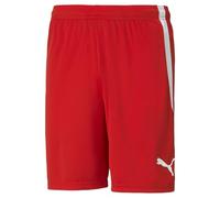 Puma Pantaloncini da Uomo