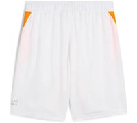Puma Pantaloni Corti Individual Training