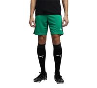 Pantaloncini Puma teamRISE Vert S