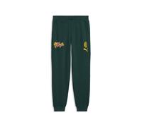 PUMA Pantaloni della tuta AC Milan ftblCulture da uomo, Accessori, Verde, L L