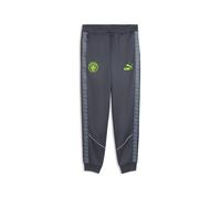 Puma Manchester City Fc King Anthem Pants Grigio M Uomo