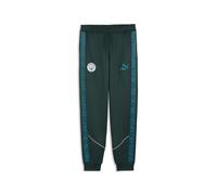 PUMA Pantaloni Manchester City KING Anthem da uomo, Accessori, Verde, M M