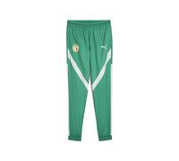 PUMA Pantaloni pre-partita Senegal 2025 da uomo, Sport, Sport Verde/Bianco, S S