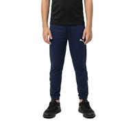 Puma Pantaloni Sportivi Individual Rise