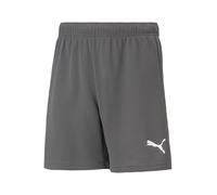 Pantaloncini Puma Team Rise Gris XL