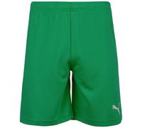 PUMA Pantaloni sportivi 'TeamRise' verde / bianco Uomo PUMA M