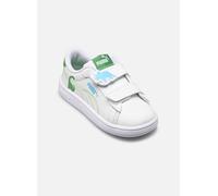 PUMA Sneakers Smash 3.0 Dino per Bimbi ai Primi Passi 21, White Green Fruit Vibrant Blue