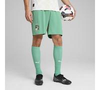 PUMA Shorts Costa d'Avorio 2025 da uomo, Abbigliamento, Jade Frost/Bianco, XL XL