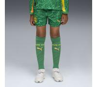 PUMA Shorts da portiere Borussia Dortmund 25/26 per ragazzi, Abbigliamento, Archive Verde/Intense Arancione, 7-8Y 7-8Y