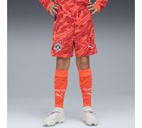 PUMA Shorts da portiere Borussia Dortmund 25/26 per ragazzi, Abbigliamento, Glowing Rosso/Silver Mist, 13-14Y 13-14Y