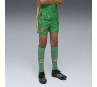 PUMA Shorts da portiere Manchester City 25/26 per ragazzi, Abbigliamento, Archive Verde/Heat Fire, 11-12Y 11-12Y
