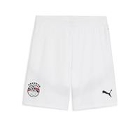 PUMA Shorts Egitto 2025 da uomo, Sport, Bianco/Cool Mid Grigio, L L