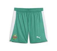PUMA Shorts SK Rapid Wien 25/26 da uomo, Sport, Bianco/Sport Verde, L L
