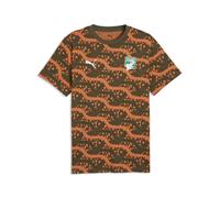 PUMA T-shirt con stampa Costa d’Avorio ftblCulture da uomo, Accessori, Verde, S S