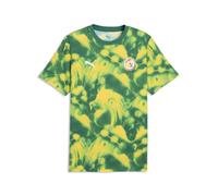 PUMA T-shirt con stampa Senegal ftblCulture da uomo, Accessori, Verde, L L