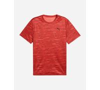 Puma Tad Essentials Small Logo M - T Shirt Training