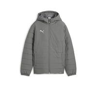 PUMA TeamADDITIONS Giacca imbottita con cappuccio Jr, 164, piatto, medio, grigio argento