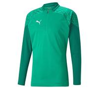 PUMA Teamcup Training 1/4 Zip Top, Slim Fit Uomo, Verde Peperoncino, L