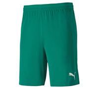 PUMA Teamfinal 21 Knit Shorts, Pantalone Corto Uomo, Blu, XS