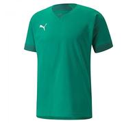 PUMA teamFINAL Jersey - ALLENATI Tutto Il Giorno T-Shirt Non applicabile, Pepper Green-Alpine Green, S -
