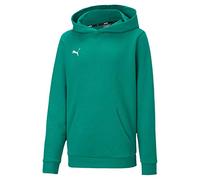 PUMA Teamgoal 23 Casuals Hoody Jr, Felpa con Cappuccio Unisex Bambini, Pepper Green, 164