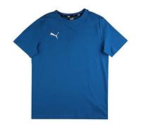 Puma Teamgoal 23 Casuals Tee Jr, Maglietta a Maniche Corte, Bambino, Blu (Electric Blue Lemonade), 164