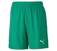 Puma Teamgoal 23 Knit Jr, Pantaloncini Bambino, verde (Pepper Green), 128