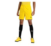 Puma Teamgoal 23 Knit Shorts, Pantaloncini Uomo, Cyber Yellow, M