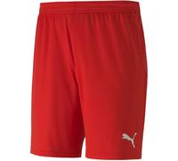 Puma teamGOAL 23 knit Shorts Shorts L
