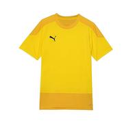 Puma Teamgoal 23 Training Jersey Jr Maglietta Bambini e Ragazzi