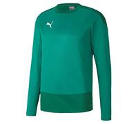 Puma Teamgoal 23 Training Sweat, Felpa da Allenamento Uomo, Pepper Green-Power Green, XL