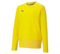 Puma Teamgoal 23 Training Sweat Jr, Maglietta Unisex Bambini, Cyber Yellow-Spectra Yellow, 116
