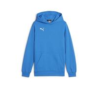 PUMA Teamgoal Casuals Hoody Jr Pullover da Ragazzo