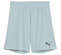 PUMA TeamGOAL Pantaloncini Jr